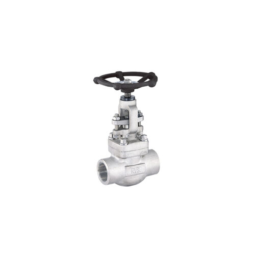 FLOHUB - FORGED GLOBE VALVE