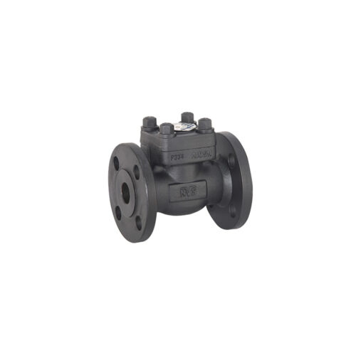 FLOHUB - FORGED STEEL SWING CHECK VALVE
