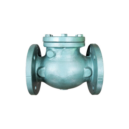 FLOMAX - IRON SWING CHECK VALVE