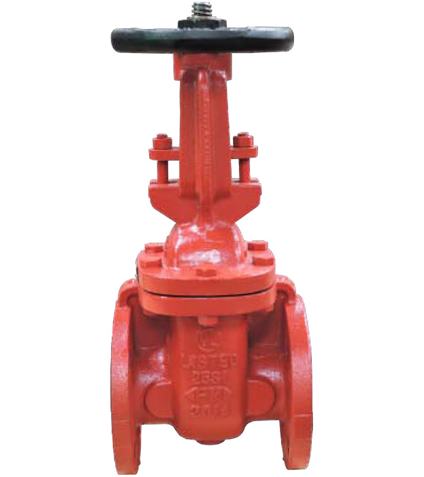 Ever Metal Gate Valve 762U