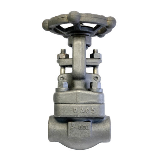 Forged Steel Gate Valves